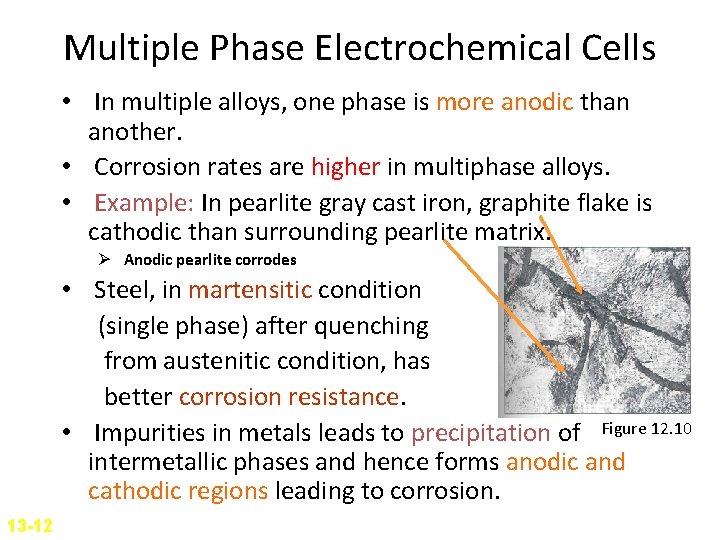Multiple Phase Electrochemical Cells • In multiple alloys, one phase is more anodic than