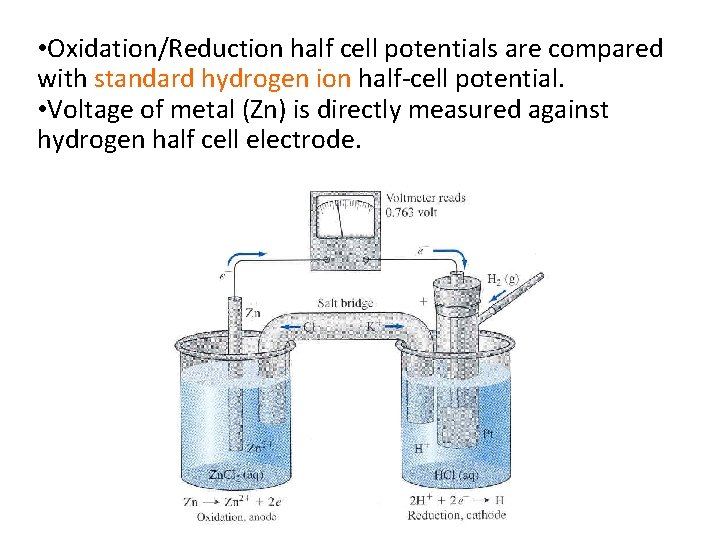  • Oxidation/Reduction half cell potentials are compared with standard hydrogen ion half-cell potential.