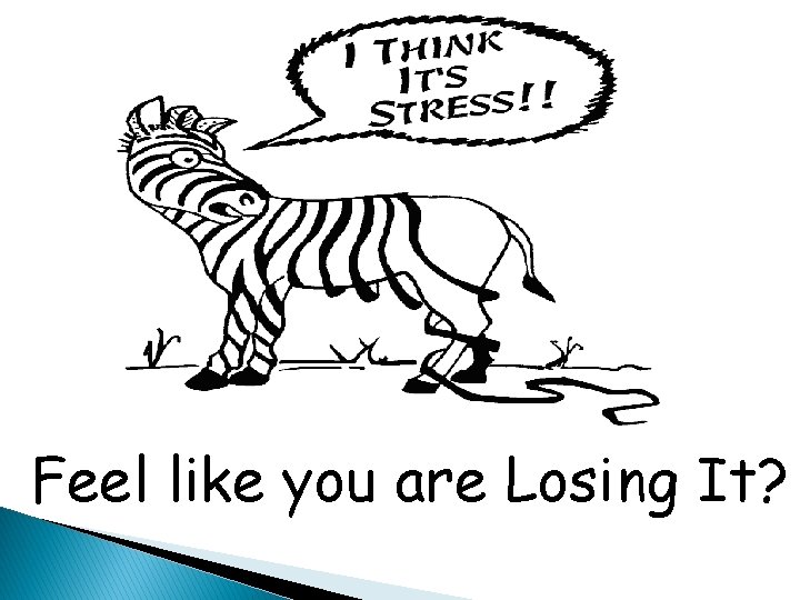 Feel like you are Losing It? 