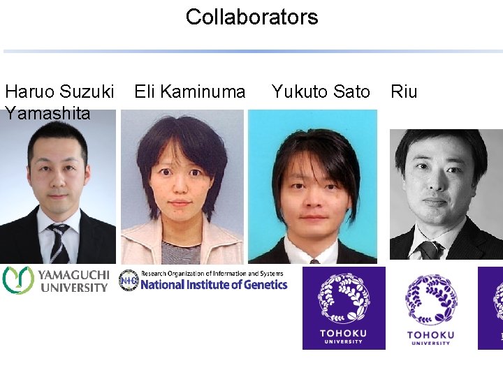 Collaborators Haruo Suzuki Yamashita Eli Kaminuma Yukuto Sato Riu 