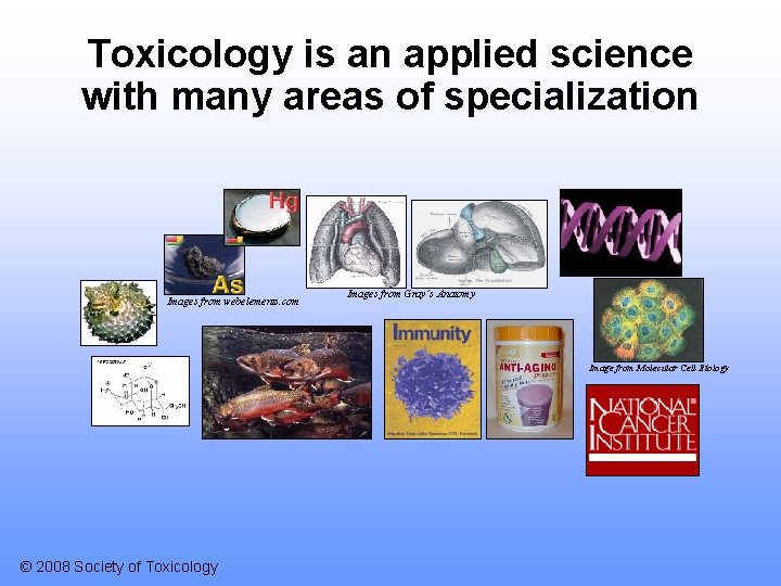 Toxicology is an applied science with many areas of specialization Images from webelements. com