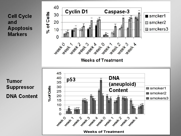 Cell Cycle and Apoptosis Markers Tumor Suppressor DNA Content Cyclin D 1 p 53