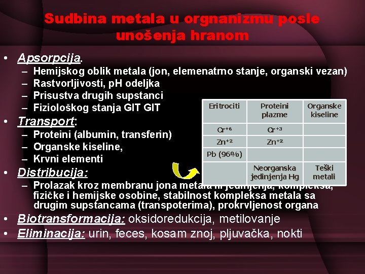 Sudbina metala u orgnanizmu posle unošenja hranom • Apsorpcija. – – Hemijskog oblik metala