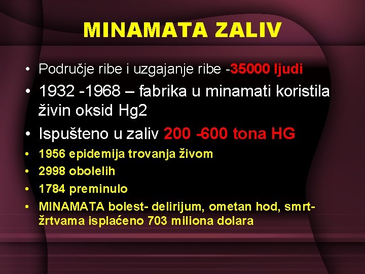 MINAMATA ZALIV • Područje ribe i uzgajanje ribe -35000 ljudi • 1932 -1968 –