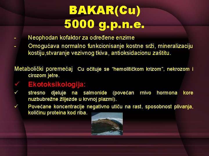 BAKAR(Cu) 5000 g. p. n. e. - Neophodan kofaktor za određene enzime Omogućava normalno