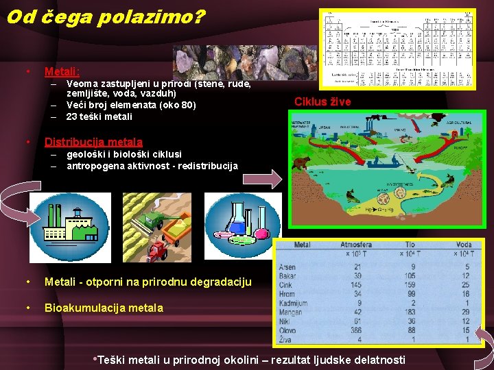 Od čega polazimo? • Metali: – Veoma zastupljeni u prirodi (stene, rude, zemljište, voda,