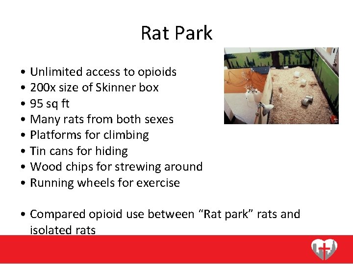 Rat Park • Unlimited access to opioids • 200 x size of Skinner box