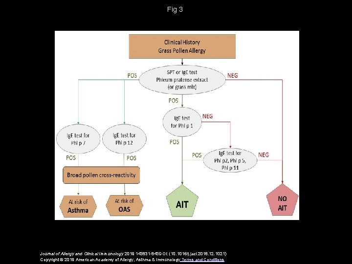 Fig 3 Journal of Allergy and Clinical Immunology 2019 143831 -843 DOI: (10. 1016/j.
