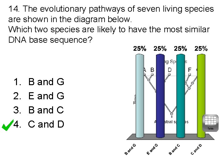 14. The evolutionary pathways of seven living species are shown in the diagram below.