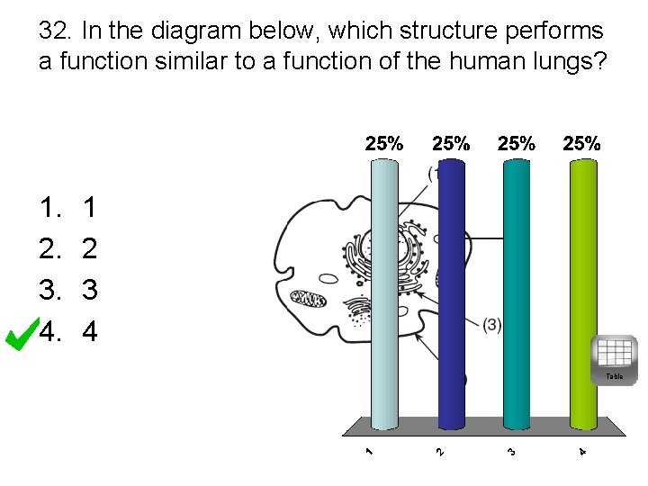 32. In the diagram below, which structure performs a function similar to a function