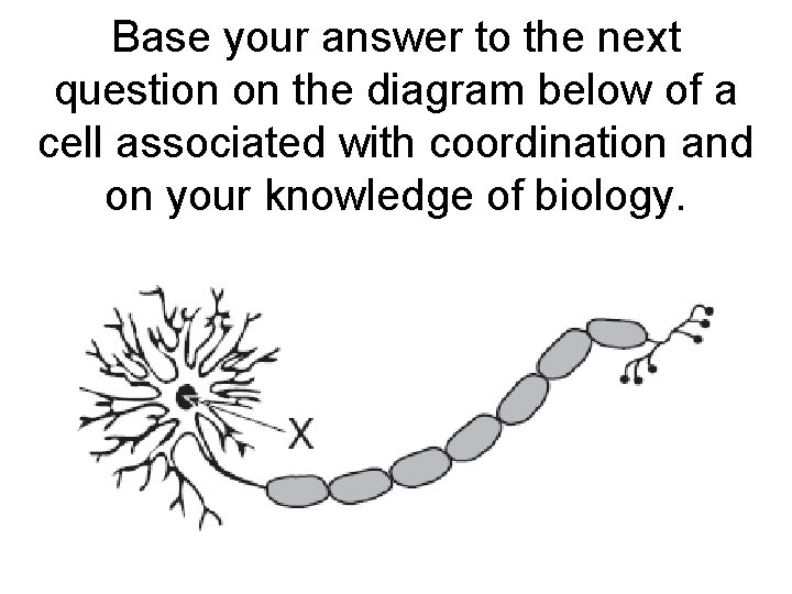 Base your answer to the next question on the diagram below of a cell