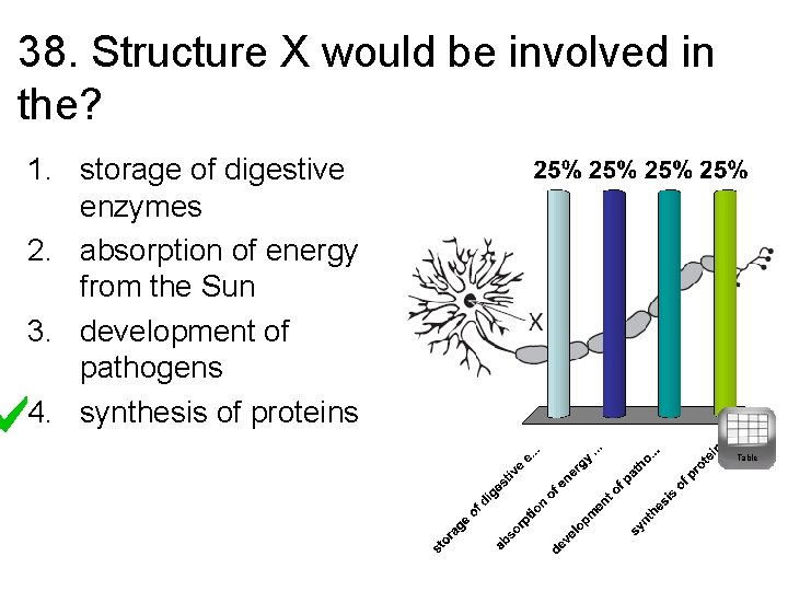 38. Structure X would be involved in the? 1. storage of digestive enzymes 2.