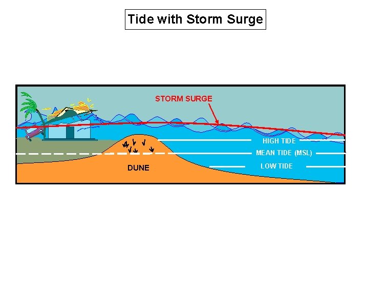 Tide with Storm Surge STORM SURGE HIGH TIDE MEAN TIDE (MSL) DUNE LOW TIDE