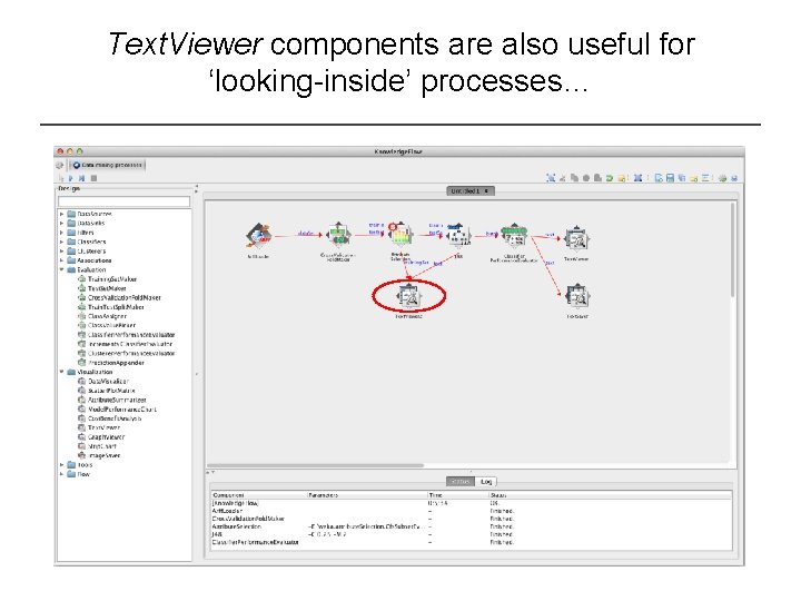 Text. Viewer components are also useful for ‘looking-inside’ processes… 