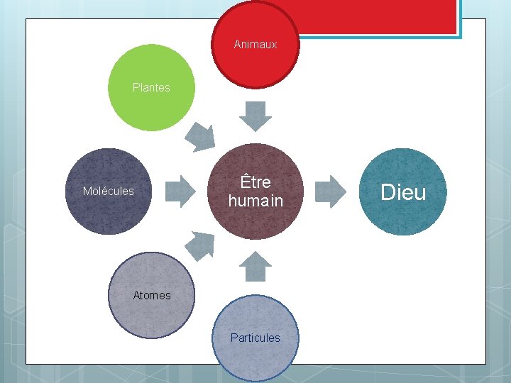 Animaux Plantes Molécules Être humain Atomes Particules Dieu 