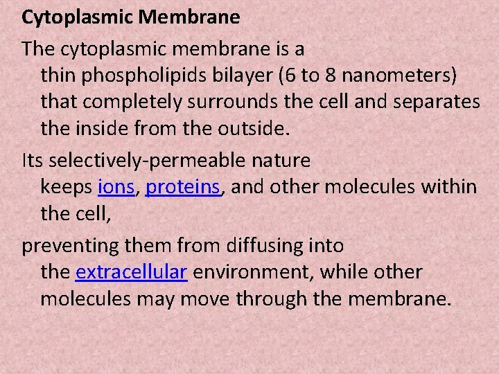 Cytoplasmic Membrane The cytoplasmic membrane is a thin phospholipids bilayer (6 to 8 nanometers)