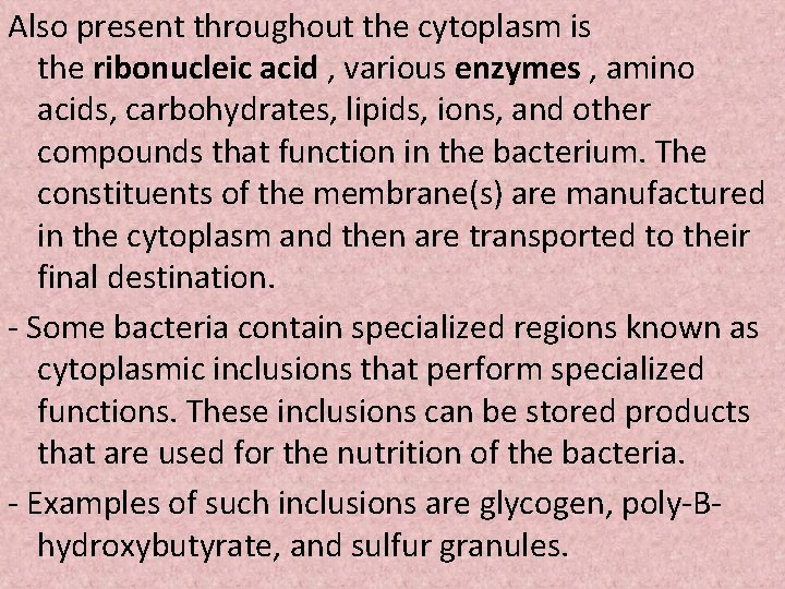 Also present throughout the cytoplasm is the ribonucleic acid , various enzymes , amino