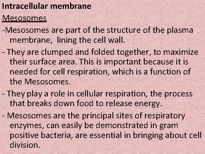 Intracellular membrane Mesosomes -Mesosomes are part of the structure of the plasma membrane, lining