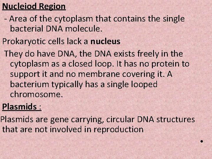 Nucleiod Region - Area of the cytoplasm that contains the single bacterial DNA molecule.