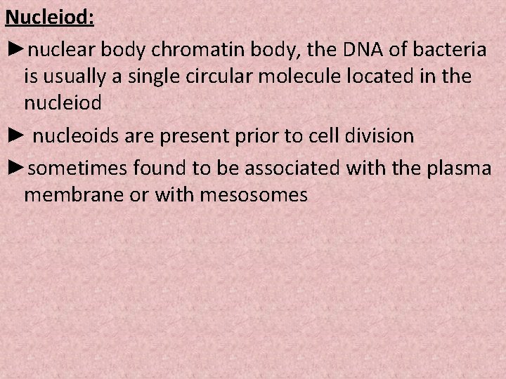 Nucleiod: ►nuclear body chromatin body, the DNA of bacteria is usually a single circular
