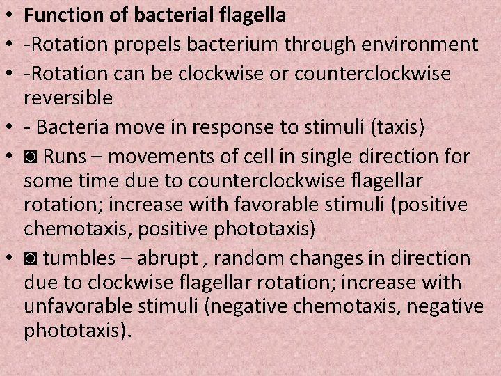  • Function of bacterial flagella • -Rotation propels bacterium through environment • -Rotation