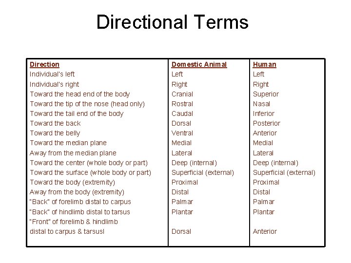 Directional Terms Direction Individual’s left Individual’s right Toward the head end of the body