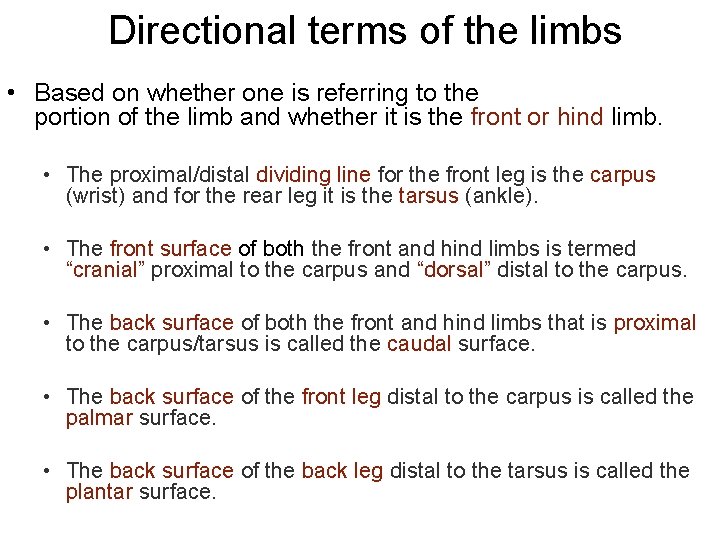 Directional terms of the limbs • Based on whether one is referring to the