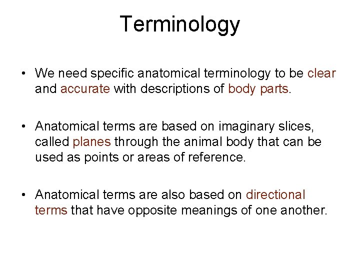 Terminology • We need specific anatomical terminology to be clear and accurate with descriptions