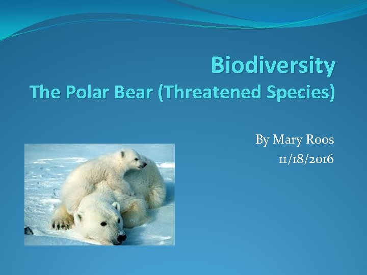 Biodiversity The Polar Bear (Threatened Species) By Mary Roos 11/18/2016 