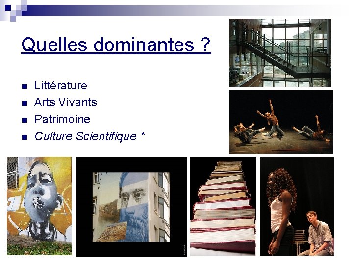 Quelles dominantes ? n n Littérature Arts Vivants Patrimoine Culture Scientifique * Quelles dominantes ? n n Littérature Arts Vivants Patrimoine Culture Scientifique *