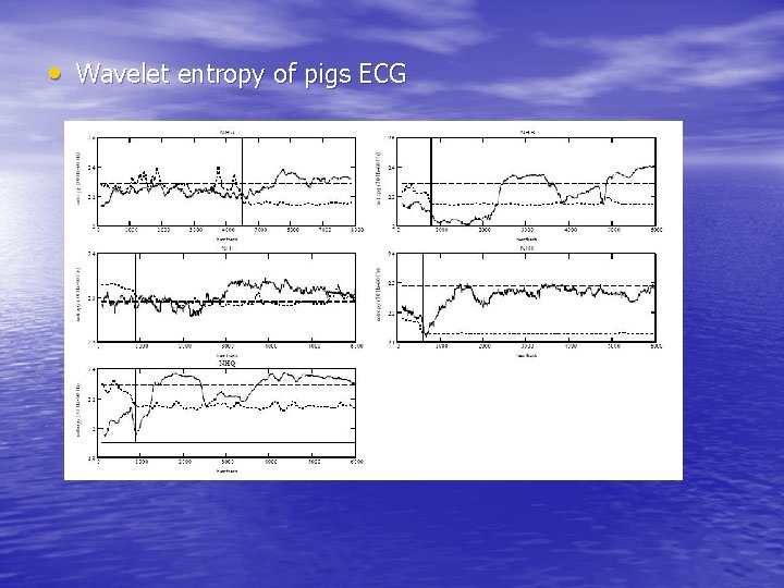  • Wavelet entropy of pigs ECG 