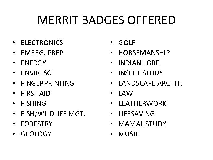 MERRIT BADGES OFFERED • • • ELECTRONICS EMERG. PREP ENERGY ENVIR. SCI FINGERPRINTING FIRST