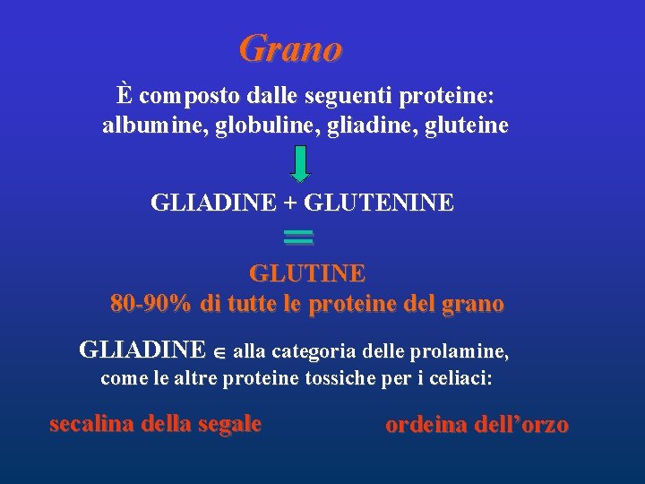 Grano È composto dalle seguenti proteine: albumine, globuline, gliadine, gluteine GLIADINE + GLUTENINE =