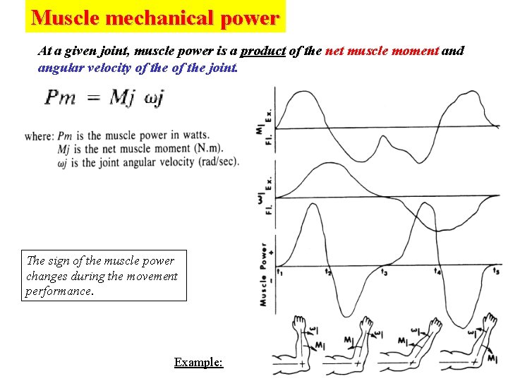 Muscle mechanical power At a given joint, muscle power is a product of the