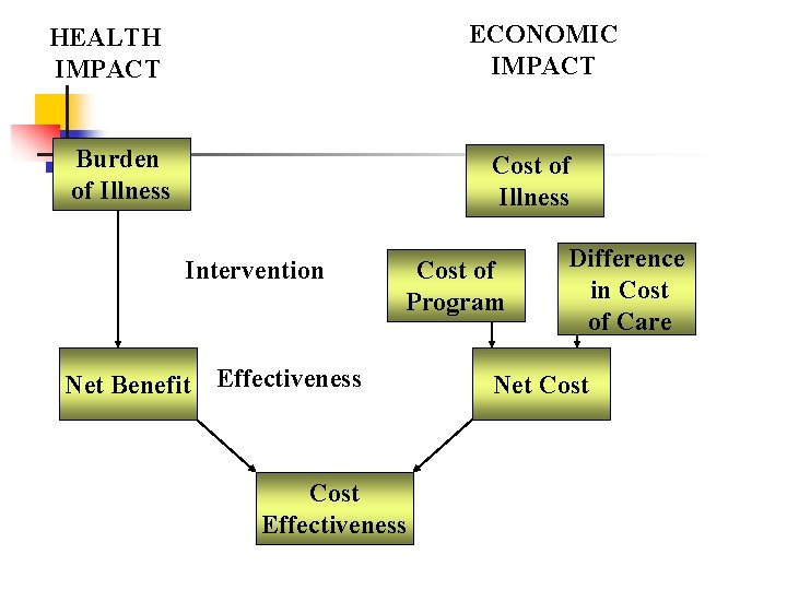 ECONOMIC IMPACT HEALTH IMPACT Burden of Illness Cost of Illness Intervention Cost of Program ECONOMIC IMPACT HEALTH IMPACT Burden of Illness Cost of Illness Intervention Cost of Program