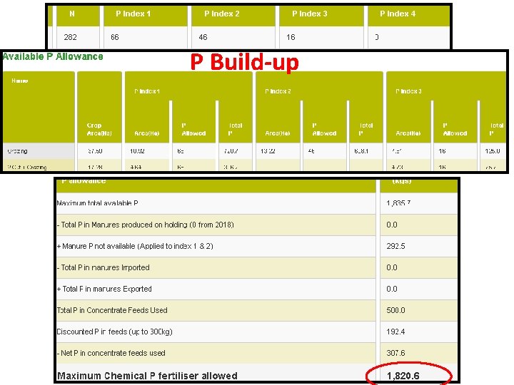 P Build-up 