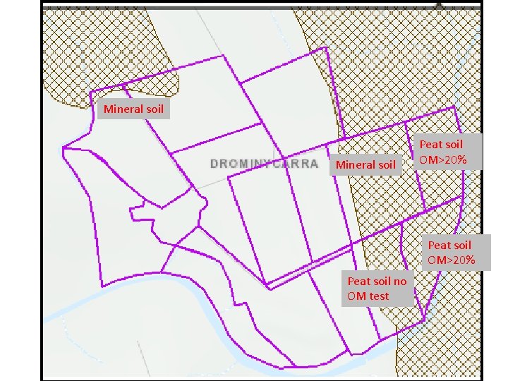 Mineral soil Peat soil OM>20% Peat soil no OM test 