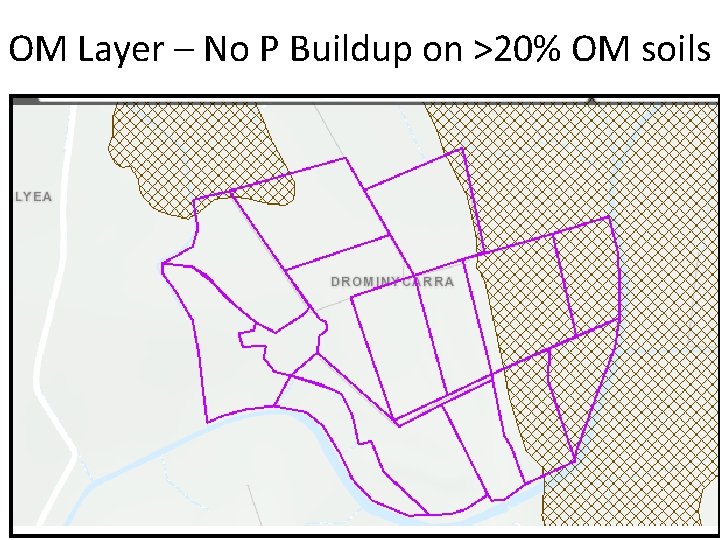 OM Layer – No P Buildup on >20% OM soils 