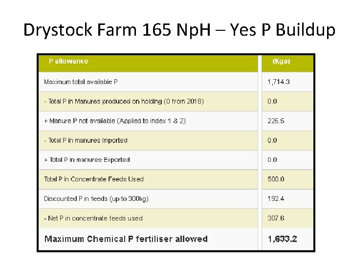 Drystock Farm 165 Np. H – Yes P Buildup 