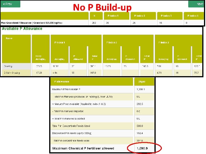 No P Build-up 