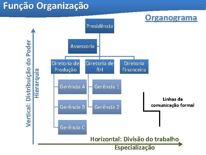 Função Organização Vertical: Distribuição do Poder Hierarquia Presidência Organograma Assessoria Diretoria de Produção Gerência