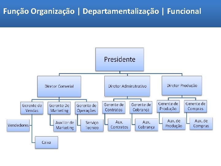 Função Organização | Departamentalização | Funcional 