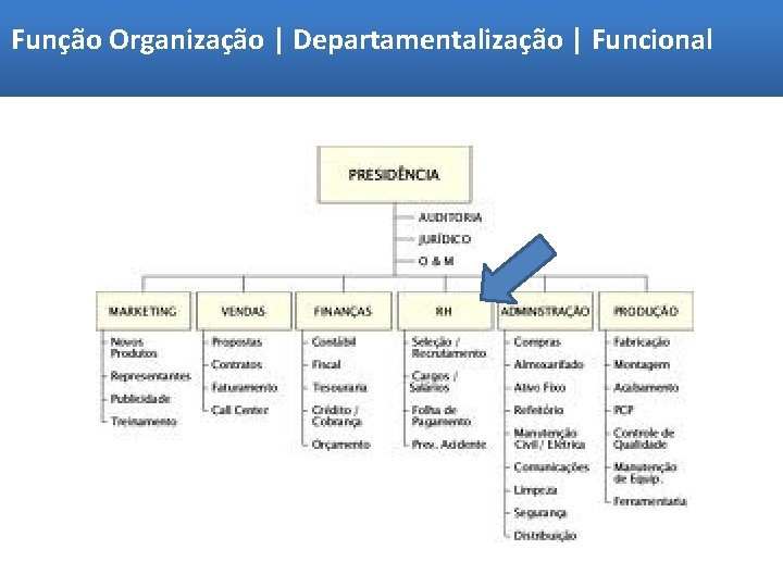 Função Organização | Departamentalização | Funcional 