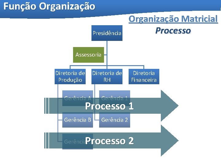 Função Organização Presidência Organização Matricial Processo Assessoria Diretoria de Produção Diretoria de RH Gerência