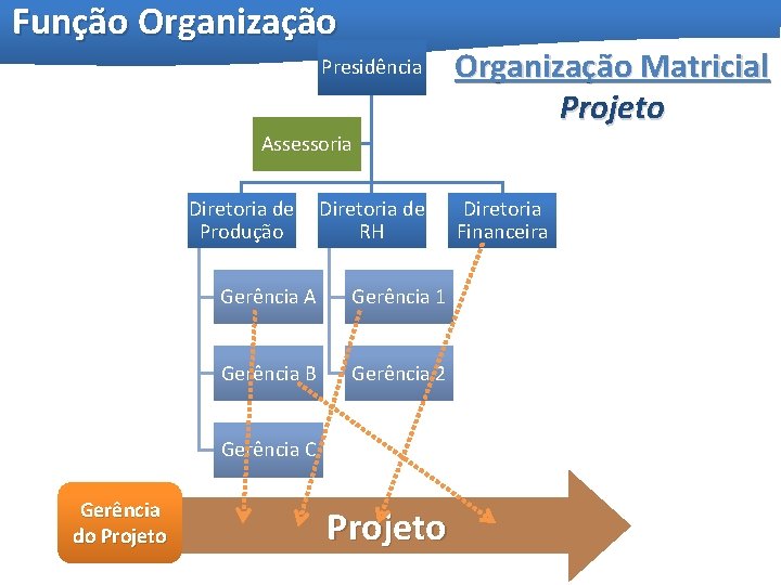 Função Organização Presidência Organização Matricial Projeto Assessoria Diretoria de Produção Diretoria de RH Gerência