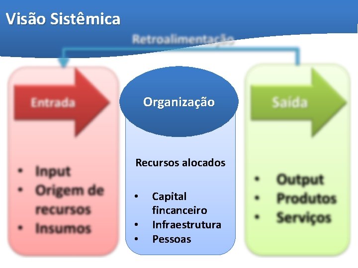 Visão Sistêmica Organização Recursos alocados • • • Capital fincanceiro Infraestrutura Pessoas 