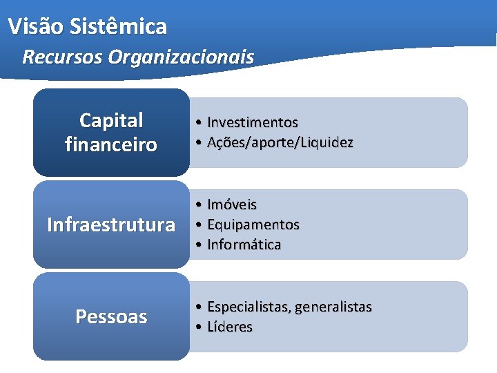 Visão Sistêmica Recursos Organizacionais Capital financeiro Infraestrutura Pessoas • Investimentos • Ações/aporte/Liquidez • Imóveis