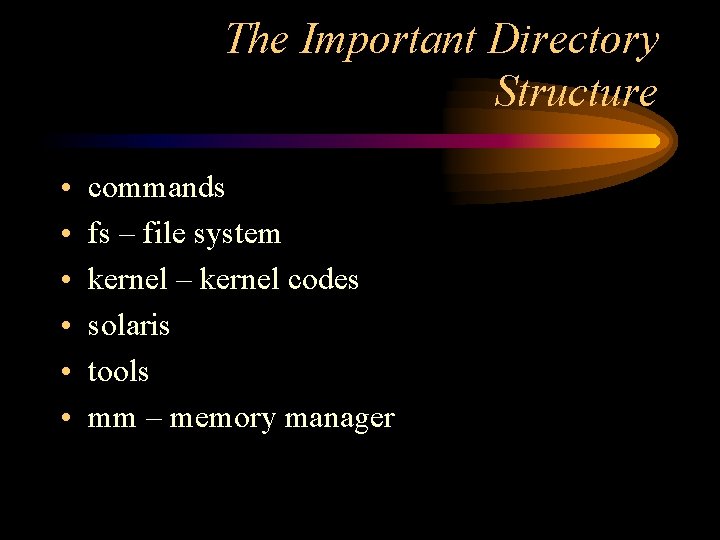 The Important Directory Structure • • • commands fs – file system kernel –