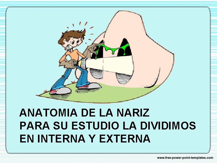 ANATOMIA DE LA NARIZ PARA SU ESTUDIO LA DIVIDIMOS EN INTERNA Y EXTERNA 