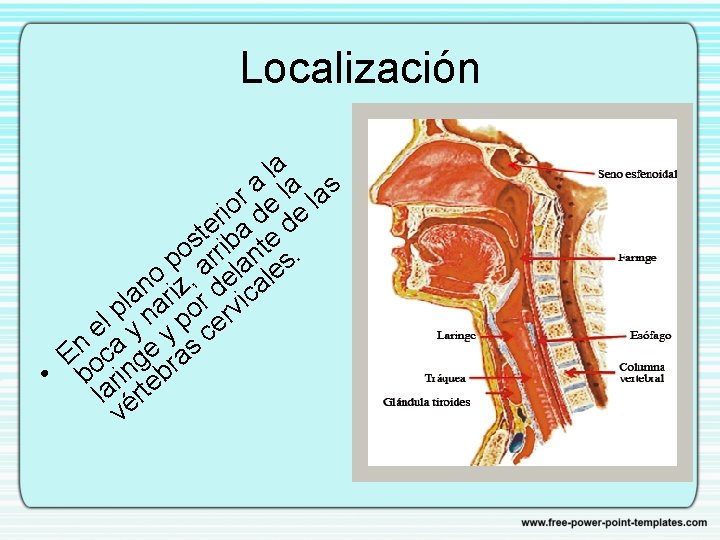 Localización l a a la las r io de e r e a d